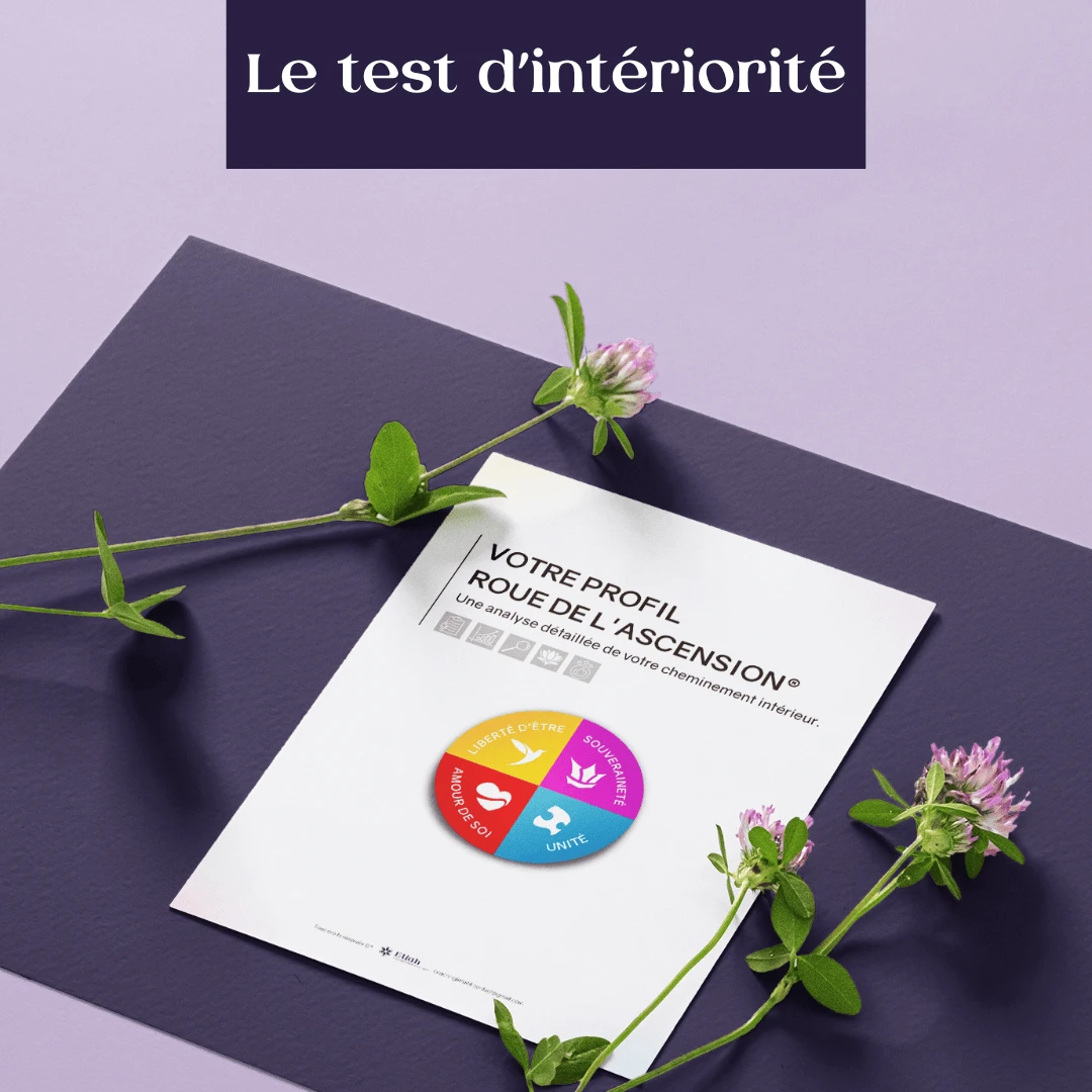 Aperçu d'un Test d'Intériorité® sur un écran